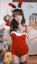 d7ae20cdf9cfe23abeb06a2a19e10429_1746170647_6496.gif